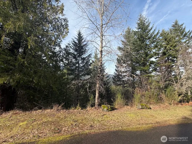 $215,000 | 115 Ridge Lane, Packwood, WA 98361