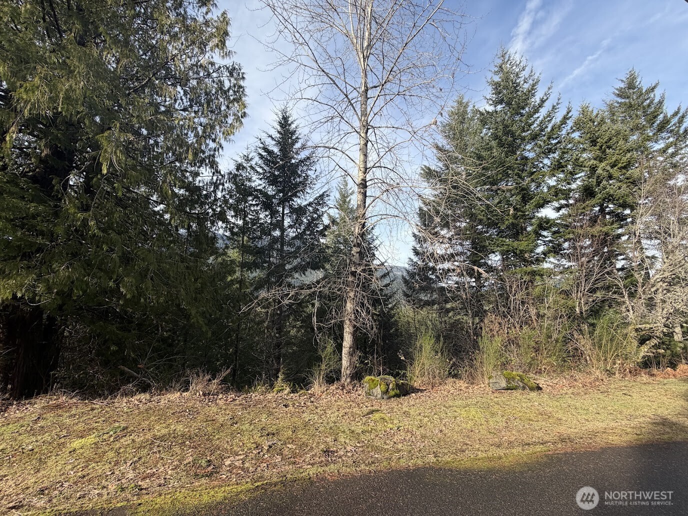 115 Ridge Lane Packwood, WA 98361 - Photo 24 of 26