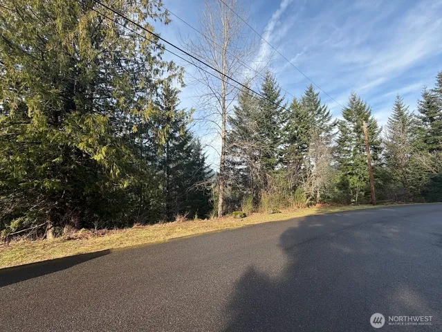 $215,000 | 115 Ridge Lane, Packwood, WA 98361