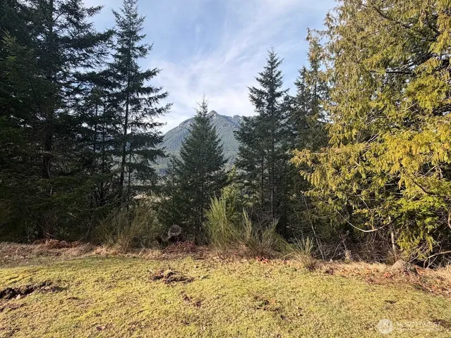 $215,000 | 115 Ridge Lane, Packwood, WA 98361