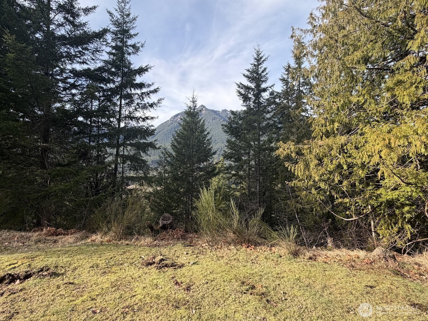 115 Ridge Lane Packwood, WA 98361 - Photo 26 of 26