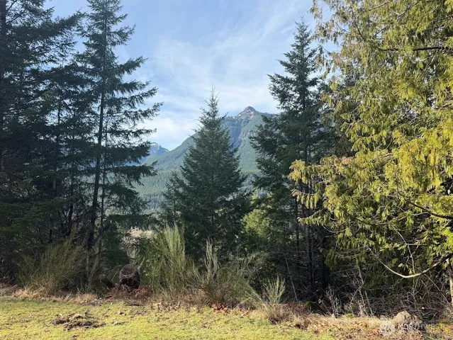 $215,000 | 115 Ridge Lane, Packwood, WA 98361