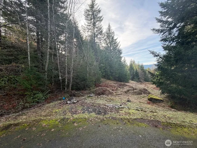 $215,000 | 115 Ridge Lane, Packwood, WA 98361