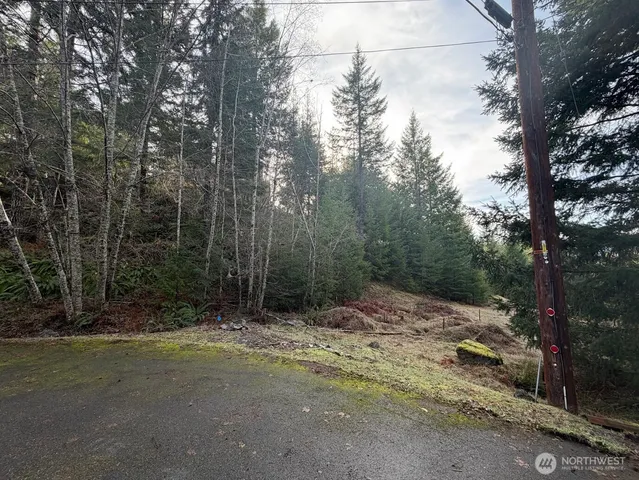 $215,000 | 115 Ridge Lane, Packwood, WA 98361