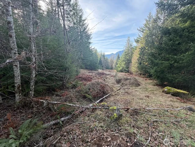 $215,000 | 115 Ridge Lane, Packwood, WA 98361