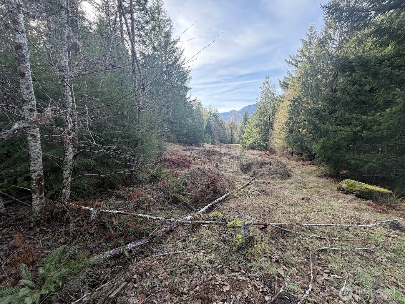 115 Ridge Lane Packwood, WA 98361 - Photo 6 of 26