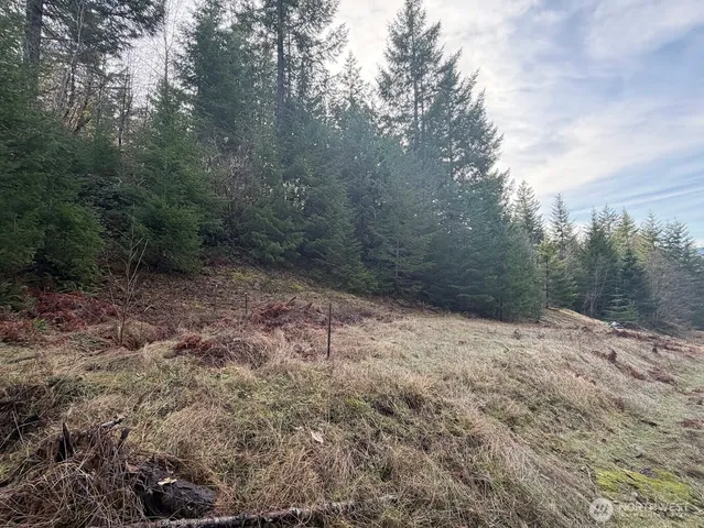 $215,000 | 115 Ridge Lane, Packwood, WA 98361