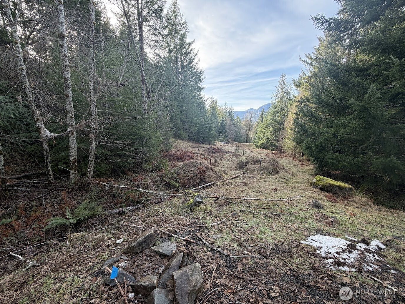 115 Ridge Lane Packwood, WA 98361 - Photo 8 of 26