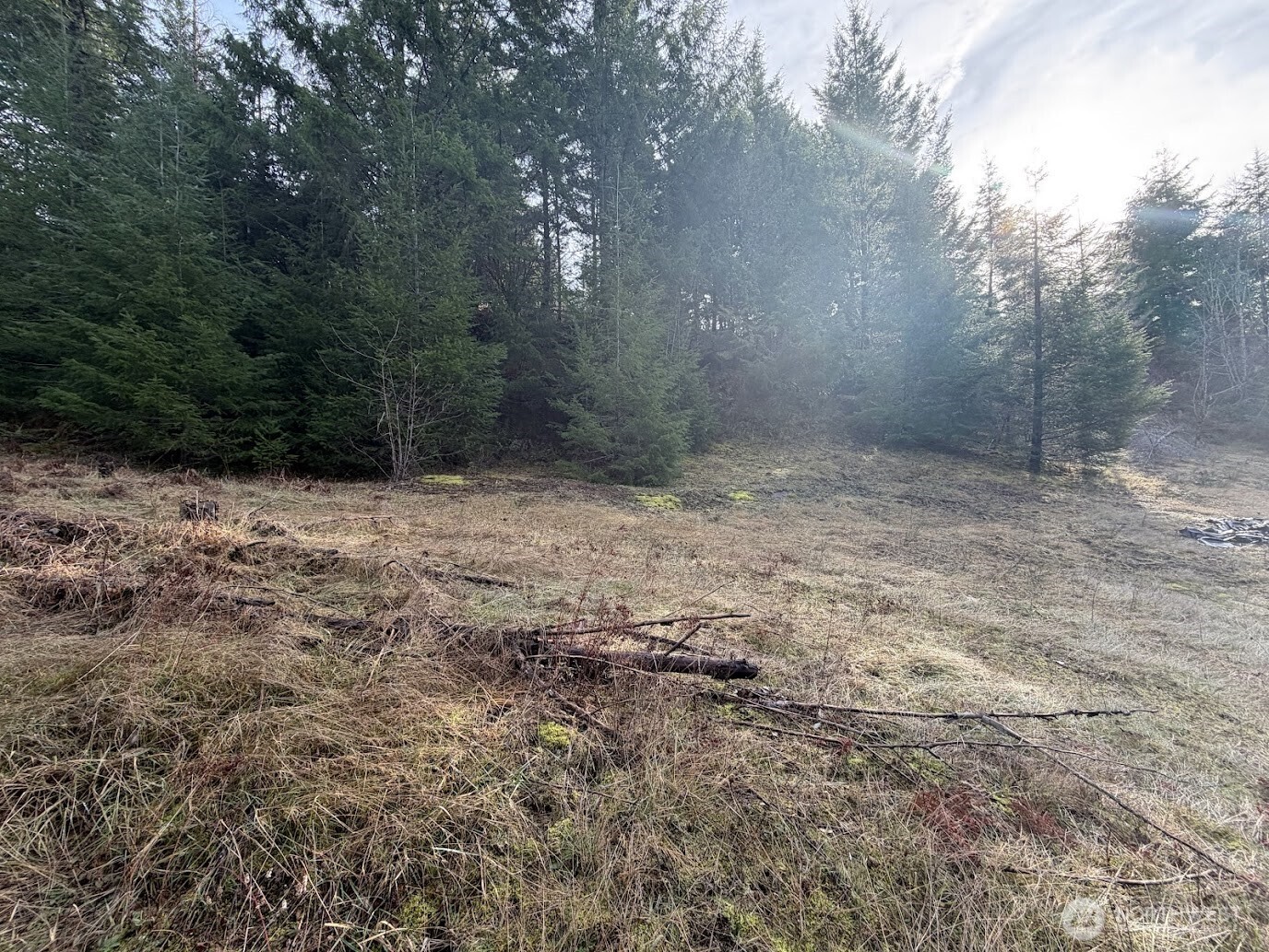 115 Ridge Lane Packwood, WA 98361 - Photo 9 of 26