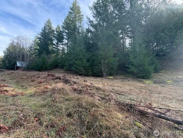 $215,000 | 115 Ridge Lane, Packwood, WA 98361