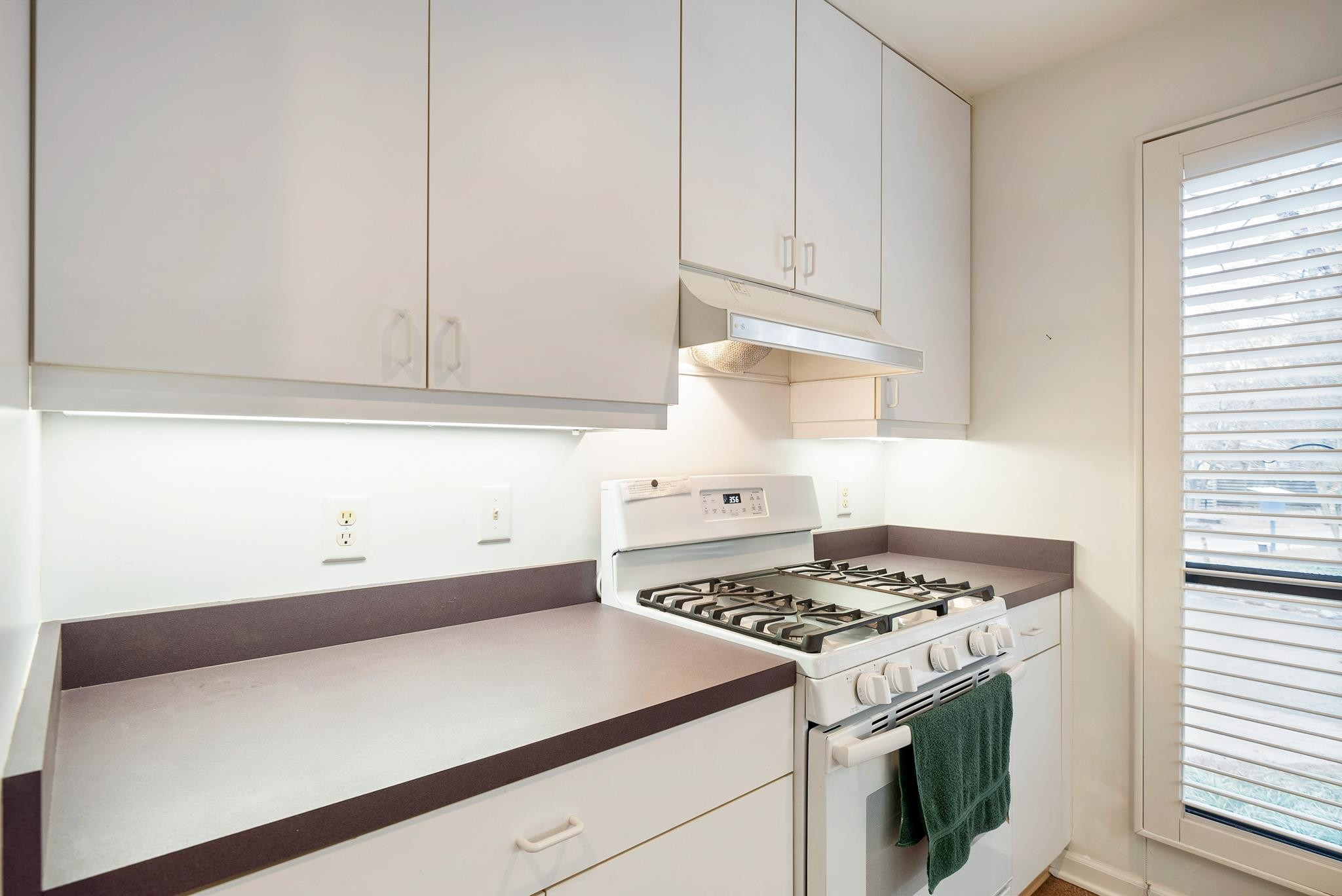 2742 Rue Sans Famille Raleigh, NC 27607 - Photo 7 of 21 Photo 7