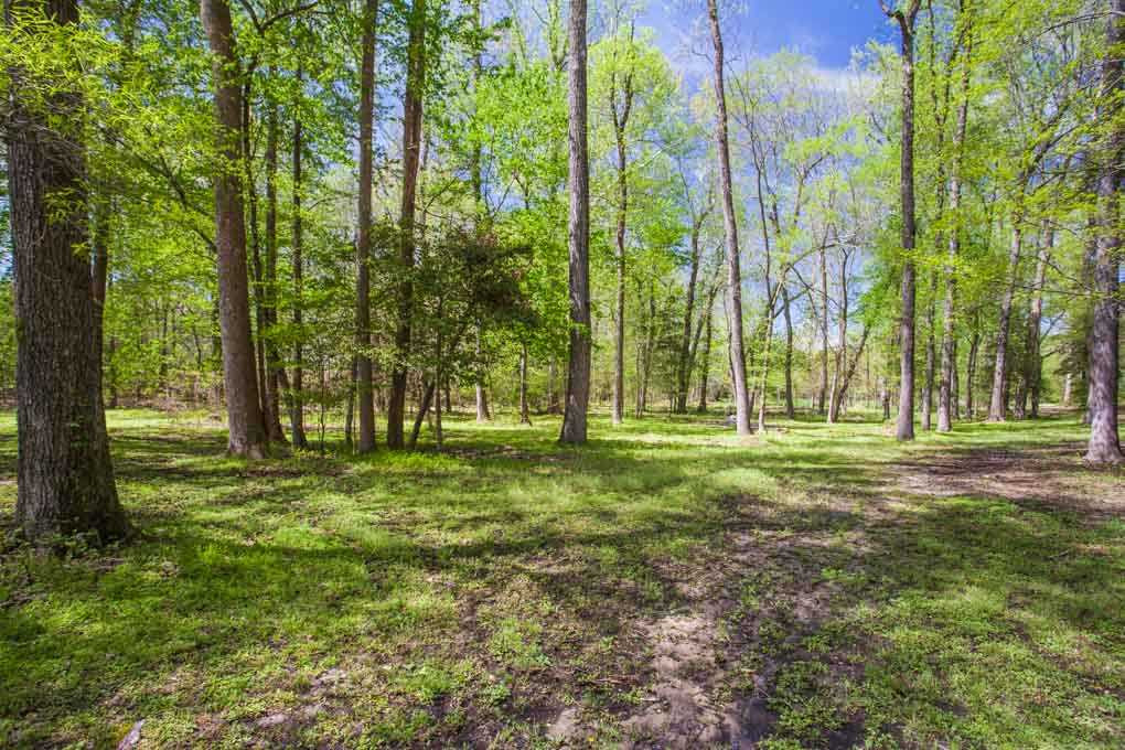 4137 Landover Lane Raleigh, NC 27616 - Photo 3 of 4 Photo 3
