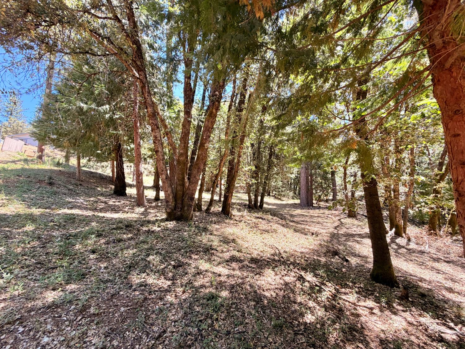 16404 Greenhorn Road Grass Valley, CA 95945 - Photo 2 of 25