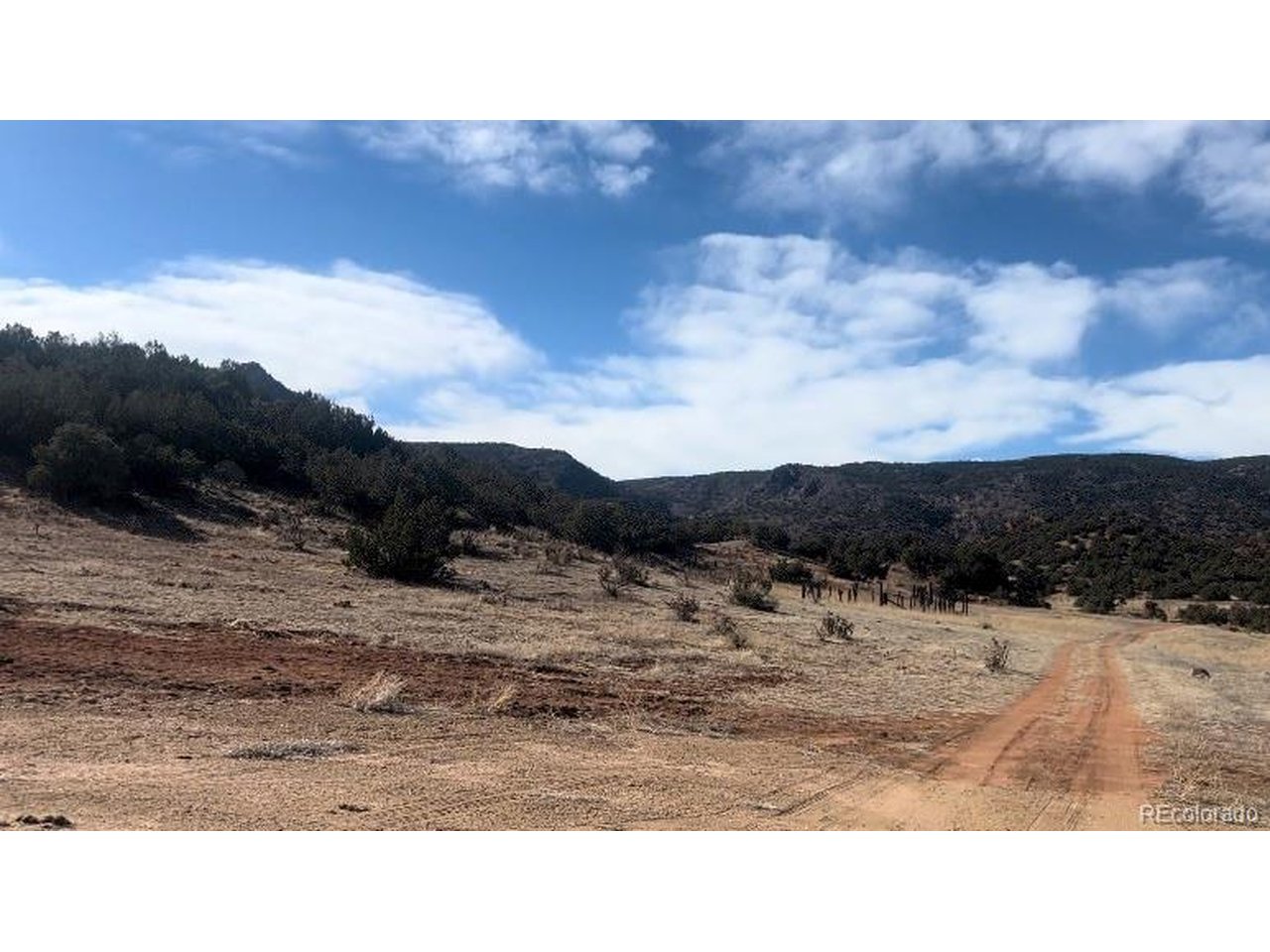 10 Rice Mountain Way Canon City, CO 81212 - Photo 15 of 18 a view of a dry yard
