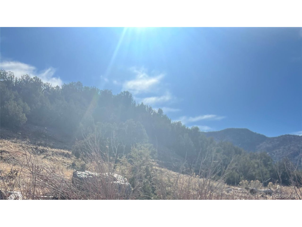 10 Rice Mountain Way Canon City, CO 81212 - Photo 7 of 18 a black and white photo of a field
