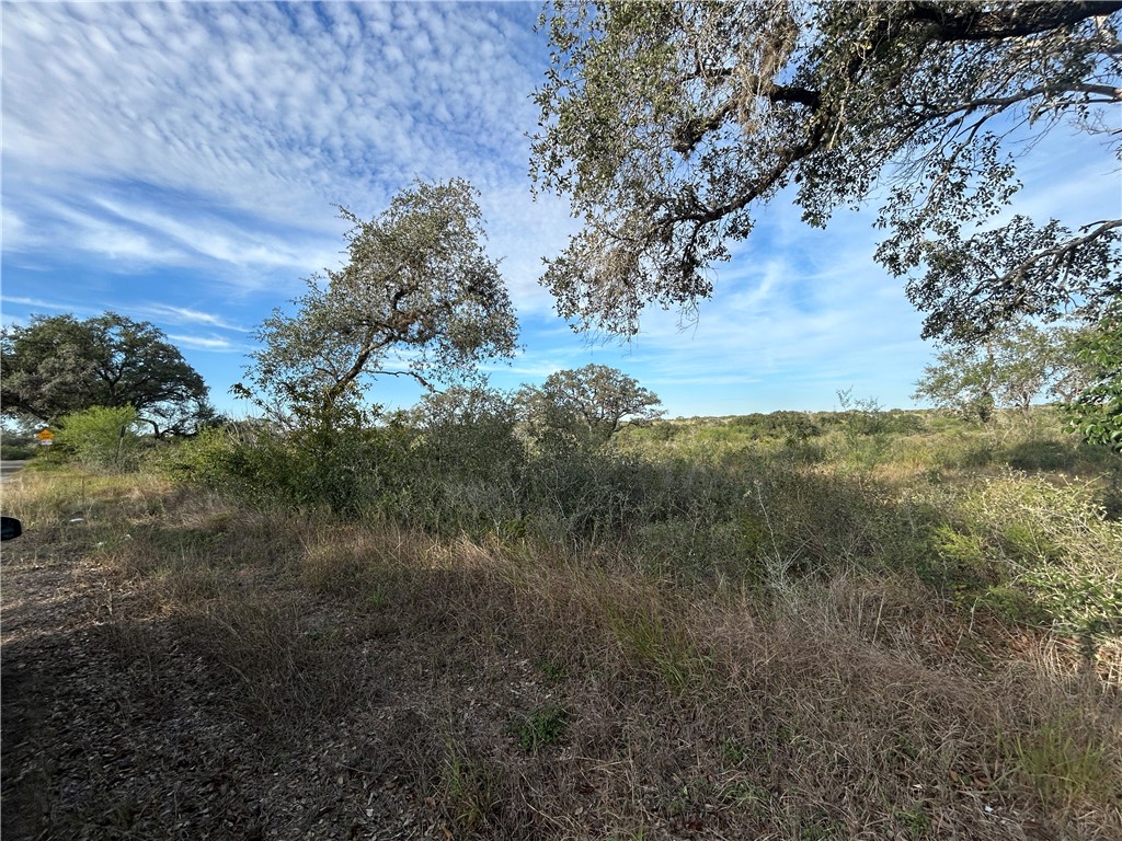 0 Airport Road Beeville, TX 78102 - Photo 4 of 7 a view of a yard in a forest