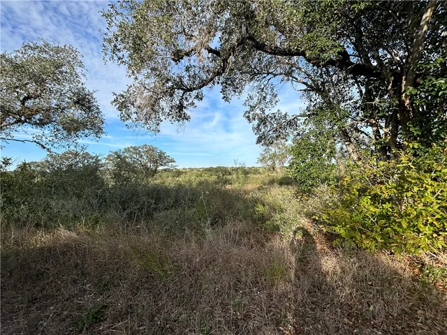 a view of yard with green space