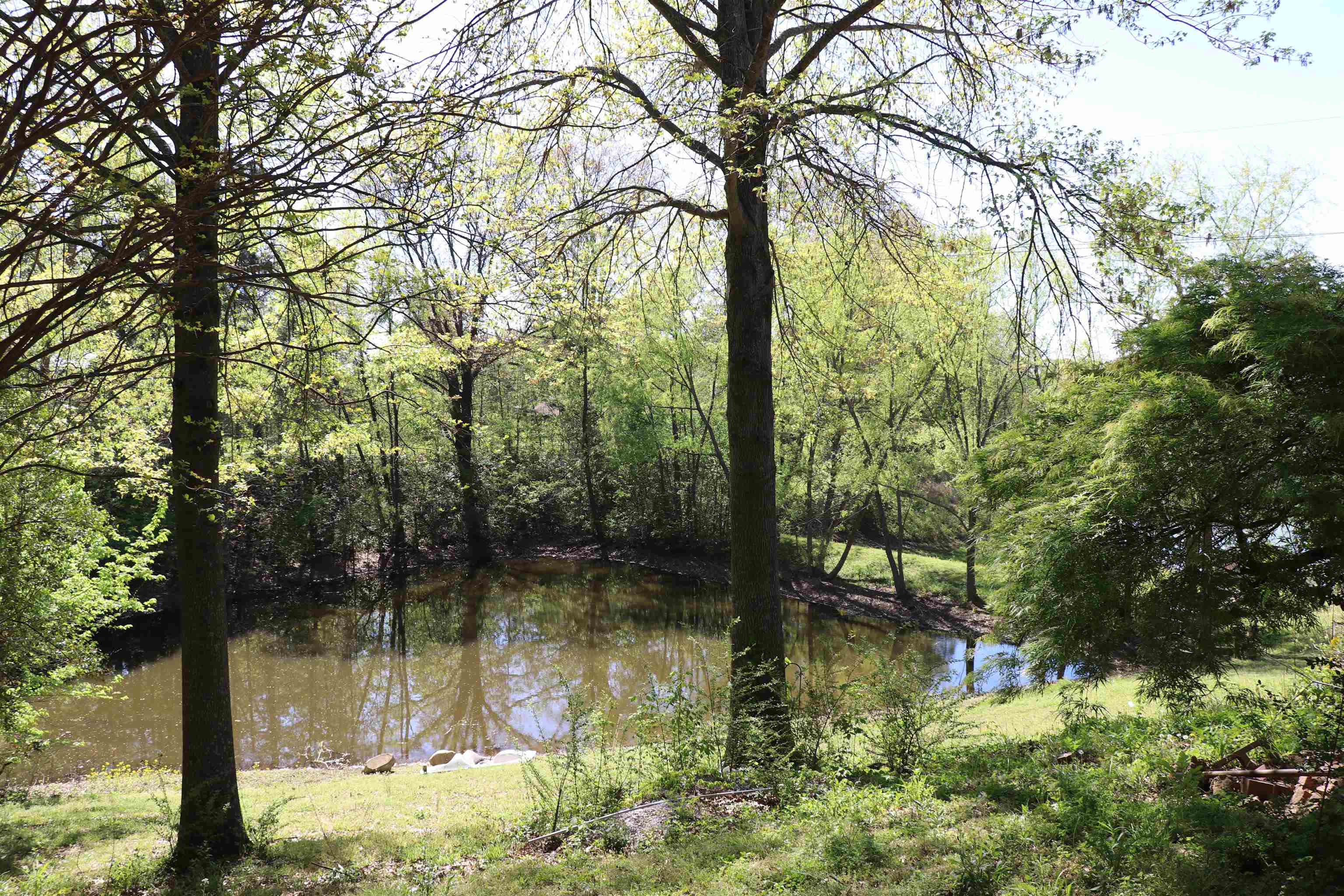 937 Kelleys Chapel Road Burlison, TN 38015 - Photo 26 of 27 Water view