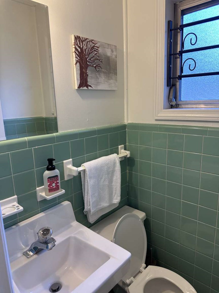 443 2nd Avenue Columbus, GA 31901 - Photo 17 of 20 a bathroom with a sink and a mirror