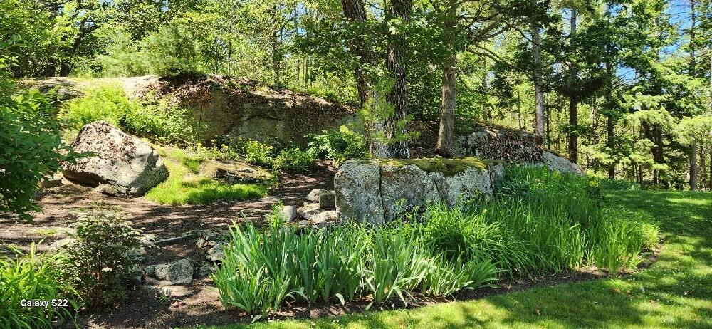 24 North Village Road York, ME 03902 - Photo 47 of 50 Ledge and lillies