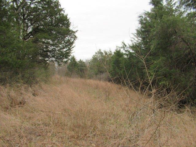 1234 North Dividing Ridge Road Sadieville, KY 40370 - Photo 6 of 16 Listing Photo