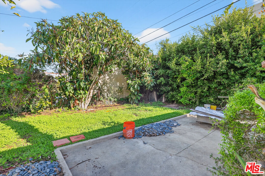 1544 South Point View Street Los Angeles, CA 90035 - Photo 51 of 67 a view of a park with large trees