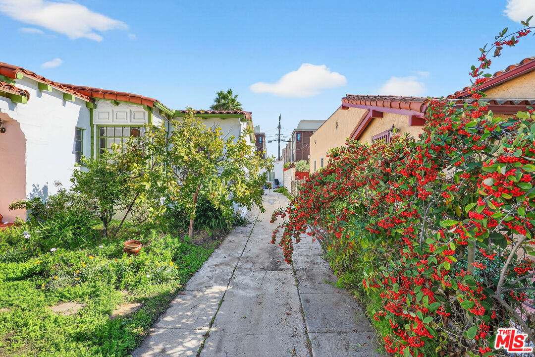 1544 South Point View Street Los Angeles, CA 90035 - Photo 57 of 67 a view of a pathway both side of flower plants