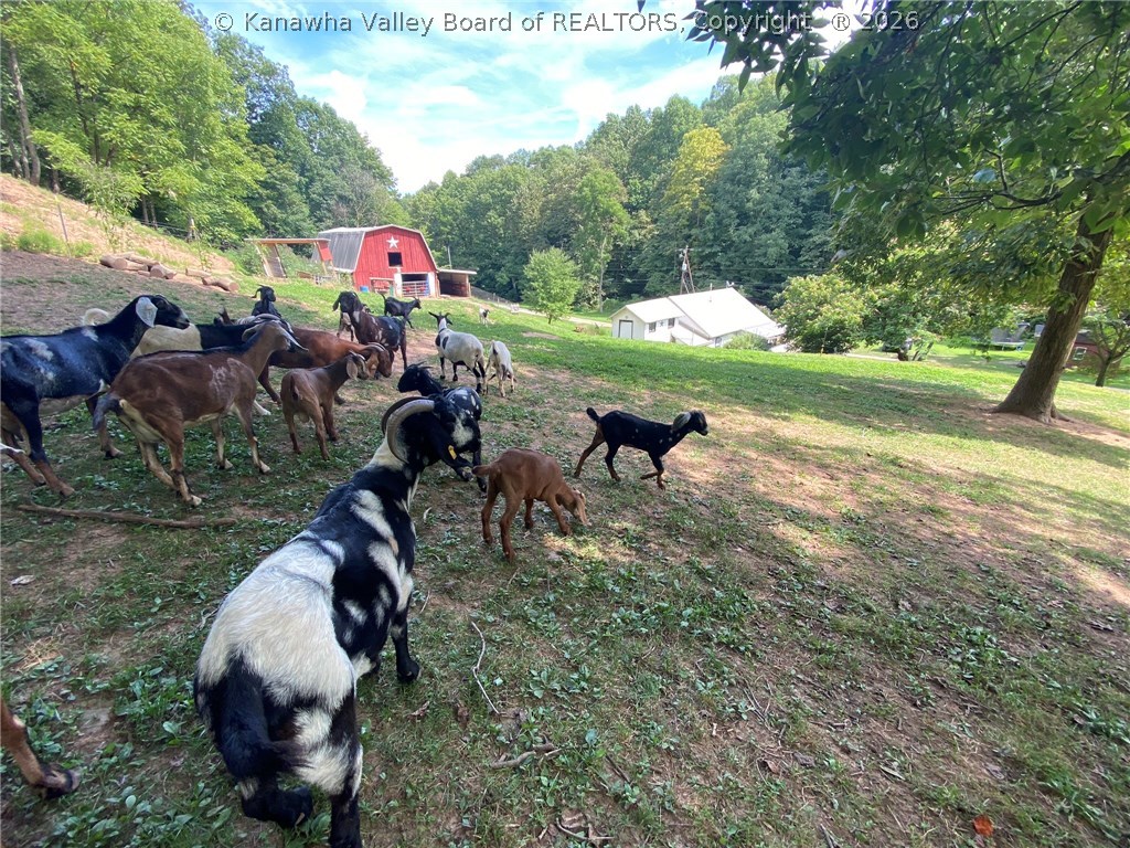 160 Bush Hollow Road Ripley, WV 25271 - Photo 27 of 46 Gallery Image 27