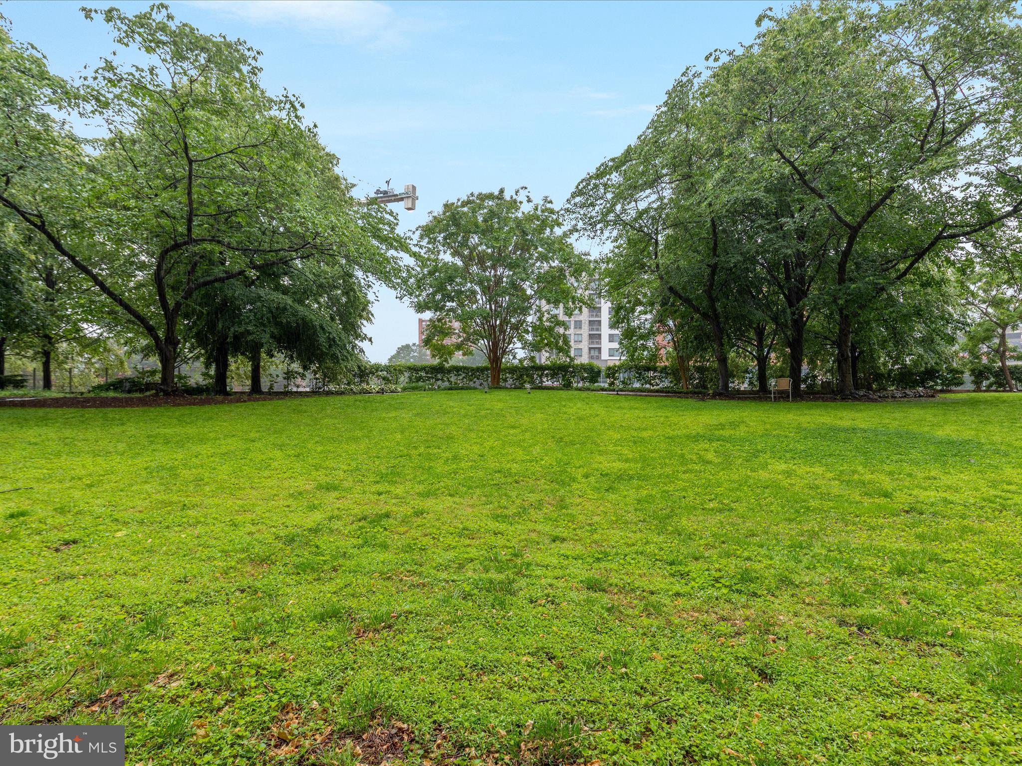 4141 North Henderson Road, Unit 809 Arlington, VA 22203 - Photo 19 of 21 a view of a grassy field with trees