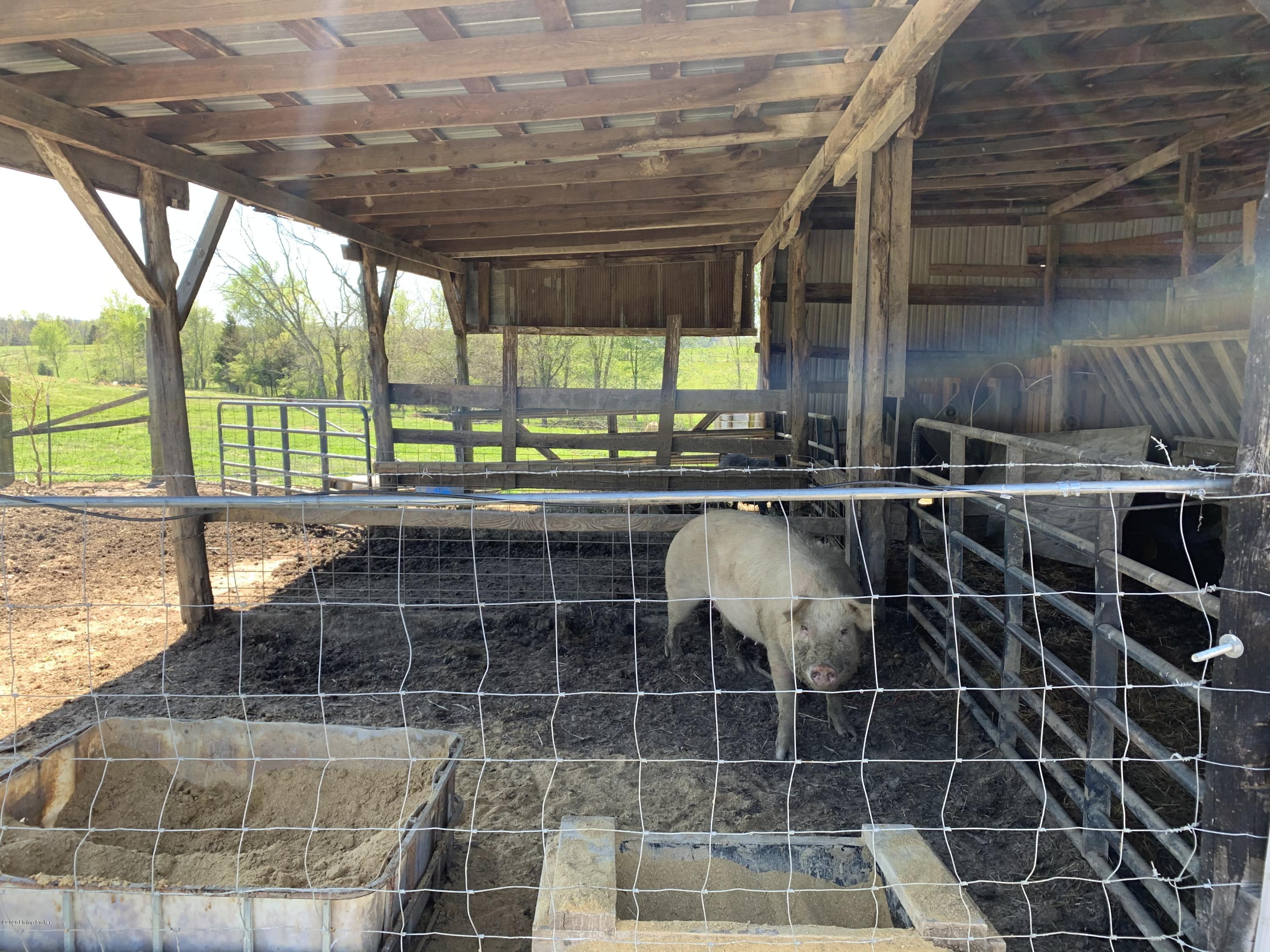 Lot #2 Irish Ridge Road Bardstown, KY 40004 - Photo 12 of 47 BARN 2 (4)