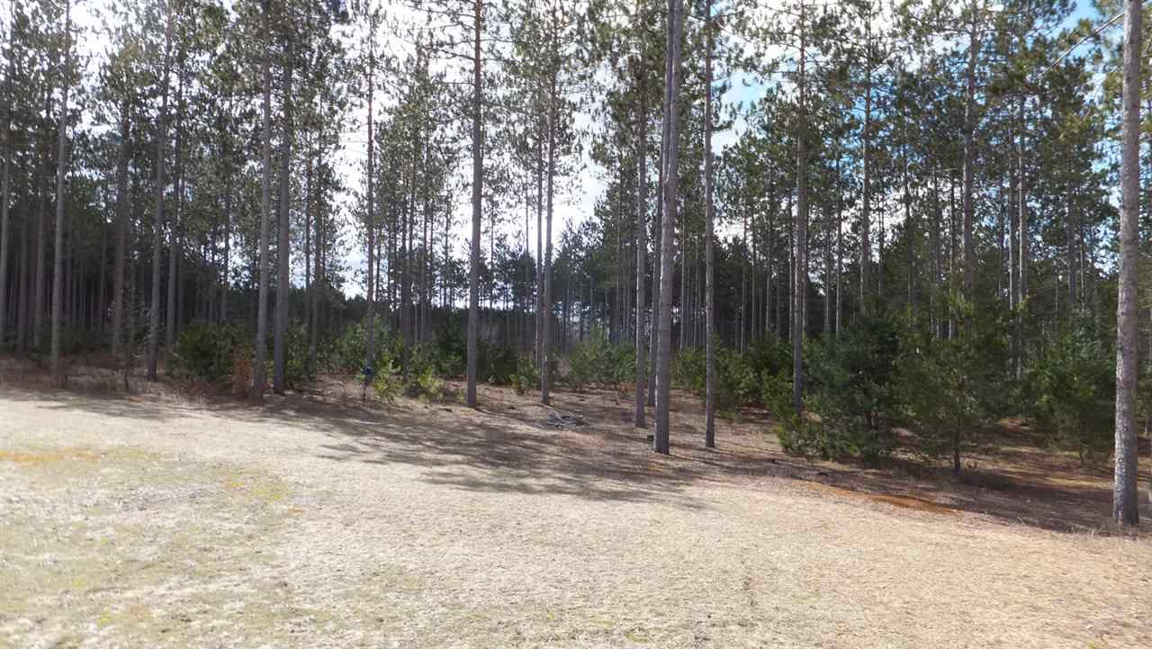 1442 North Haze Road Beulah, MI 49617 - Photo 34 of 46 1813248-33.JPG