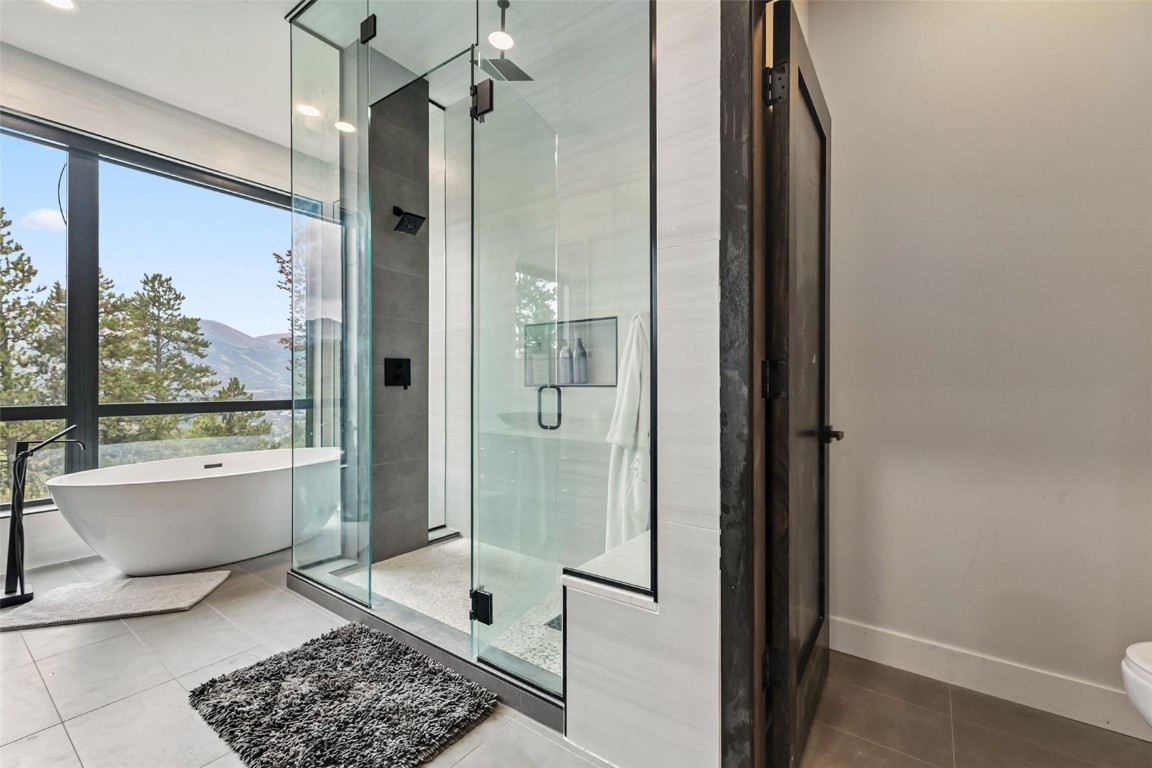 2520 Boreas Pass Road Breckenridge, CO 80424 - Photo 26 of 49 a bathroom with a tub shower and view