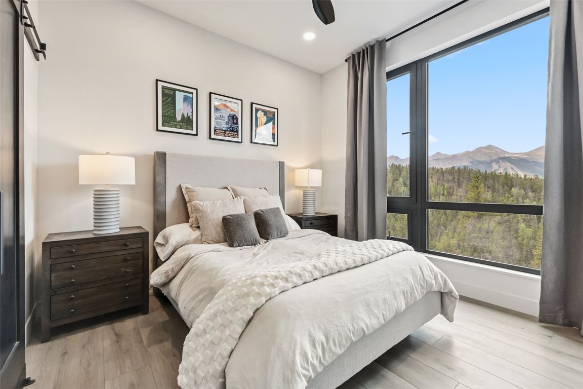 2520 Boreas Pass Road Breckenridge, CO 80424 - Photo 32 of 49