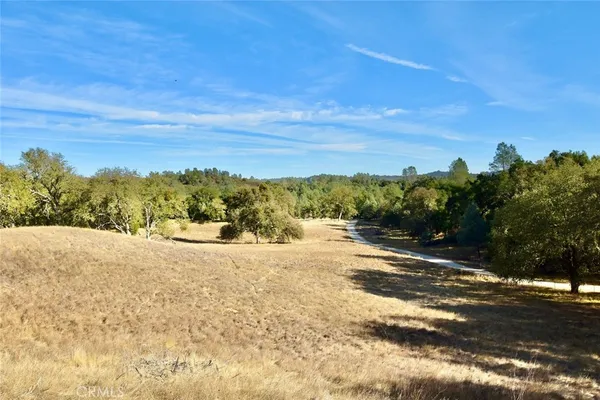 a view of a yard