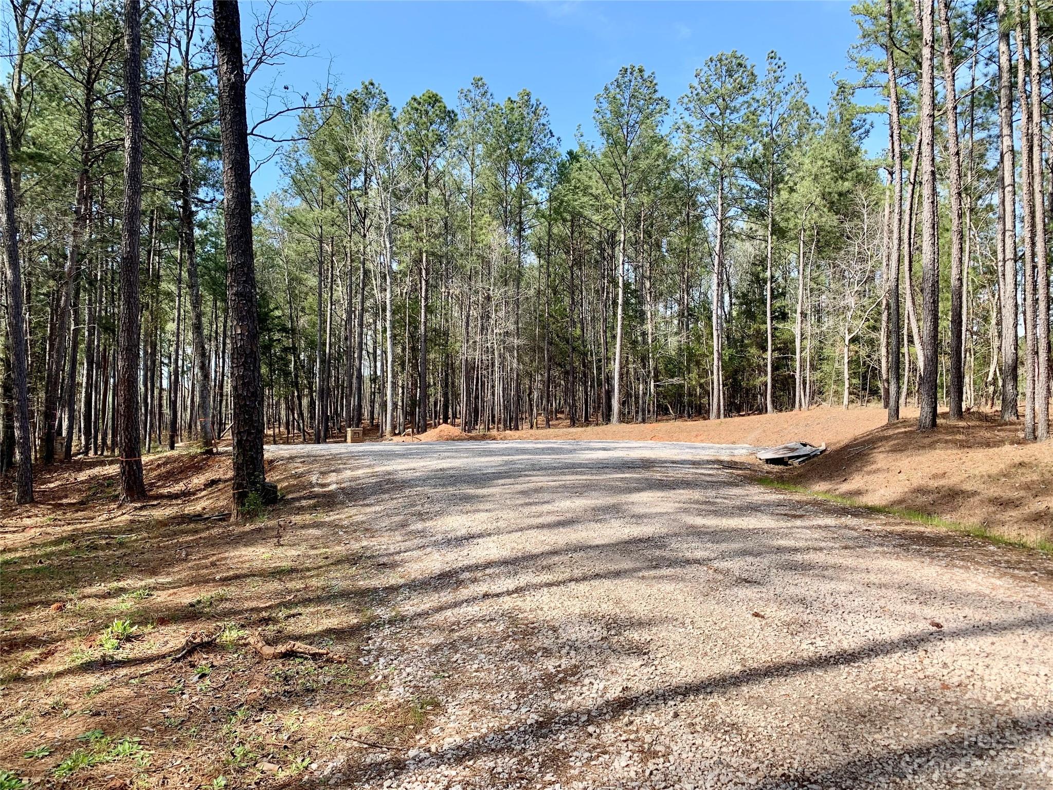 0 Pne Frst Drive Lancaster, SC 29720 - Photo 4 of 8 a view of outdoor space with trees
