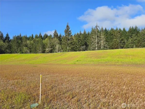 $115,000 | 61 East Virgil Drive, Allyn, WA 98524