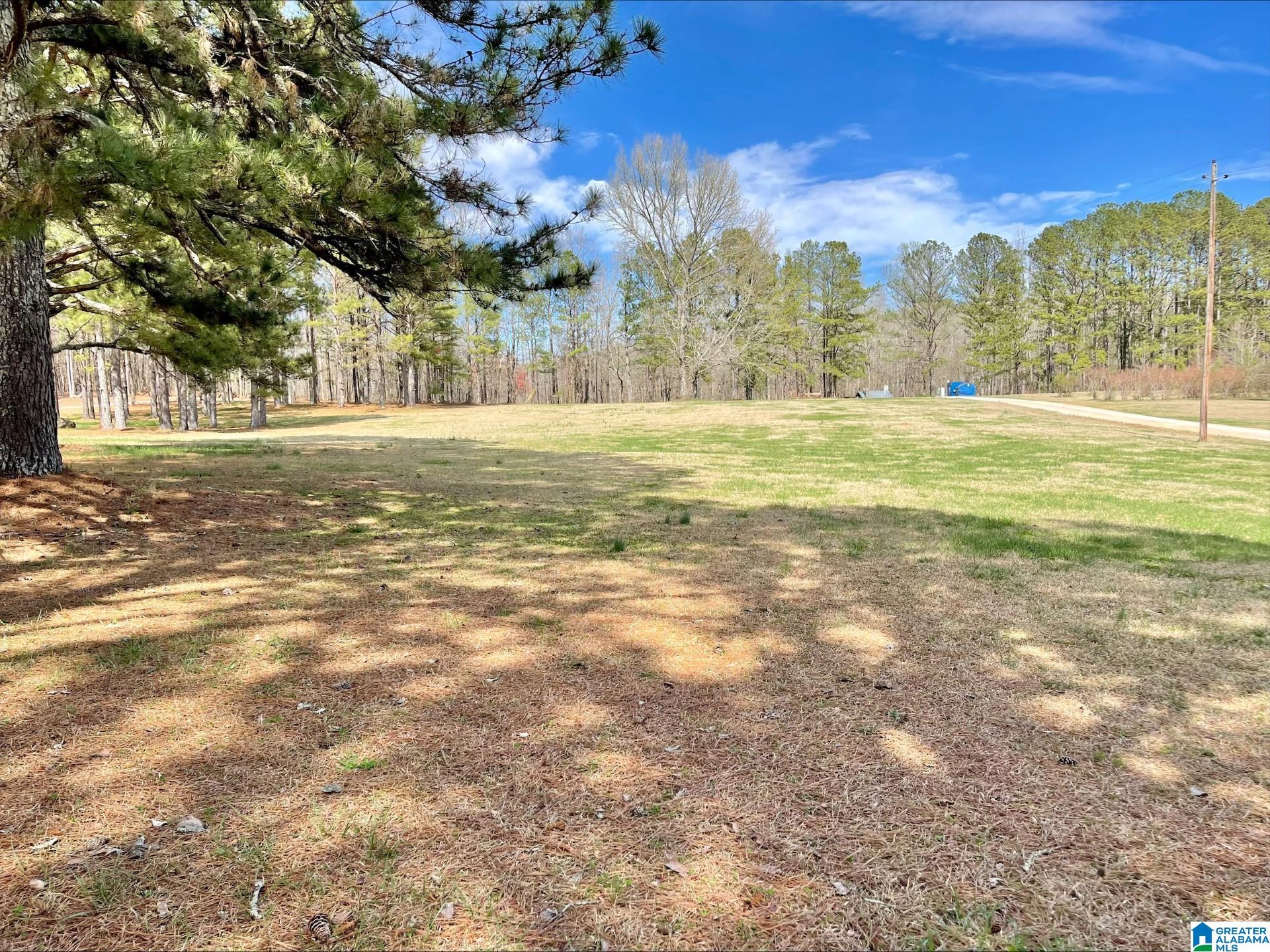 55 County Road 928 Delta, AL 36258 - Photo 25 of 28