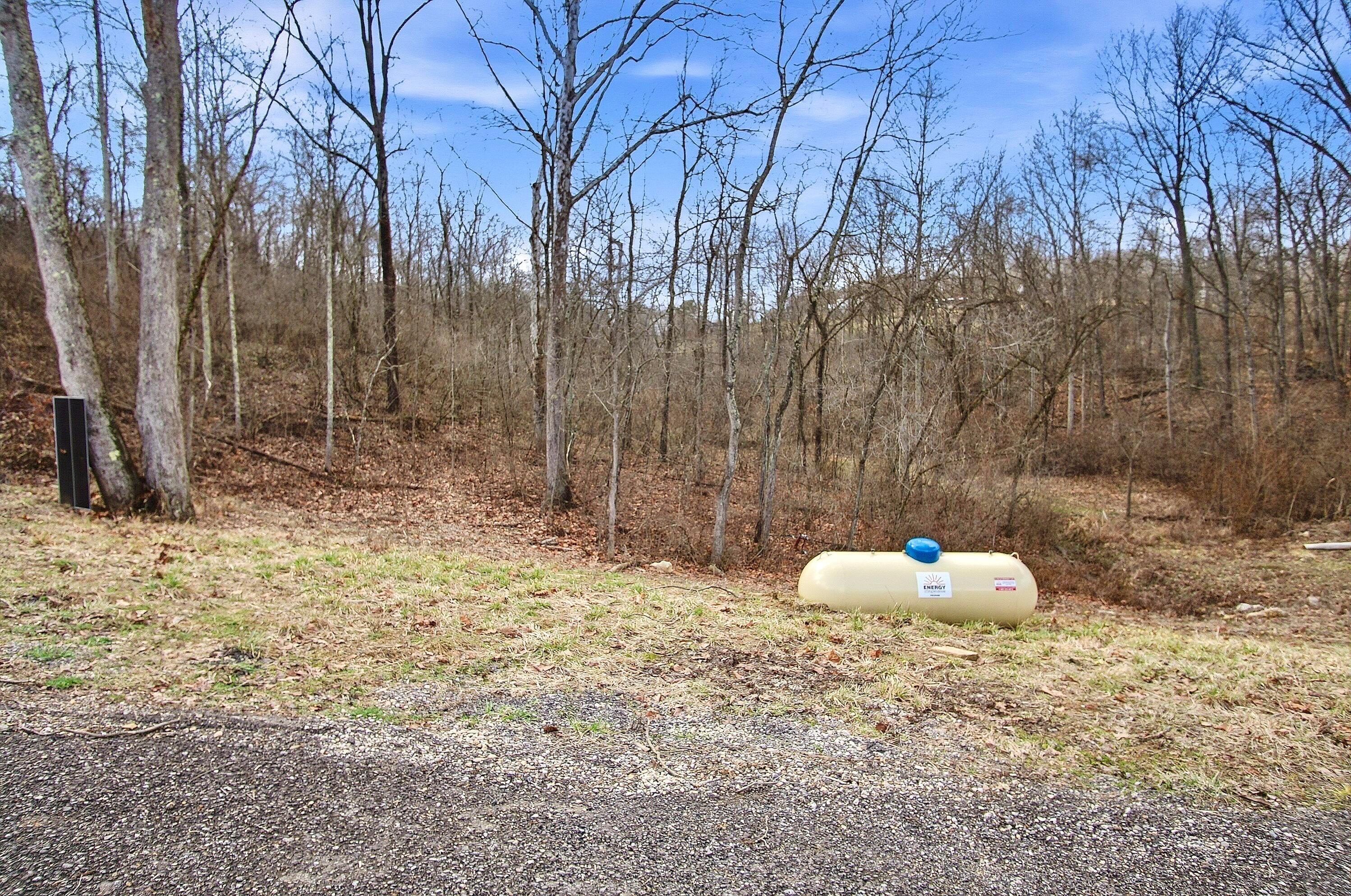 8660 Rural Dale Road Blue Rock, OH 43720 - Photo 50 of 54 IMG_4076
