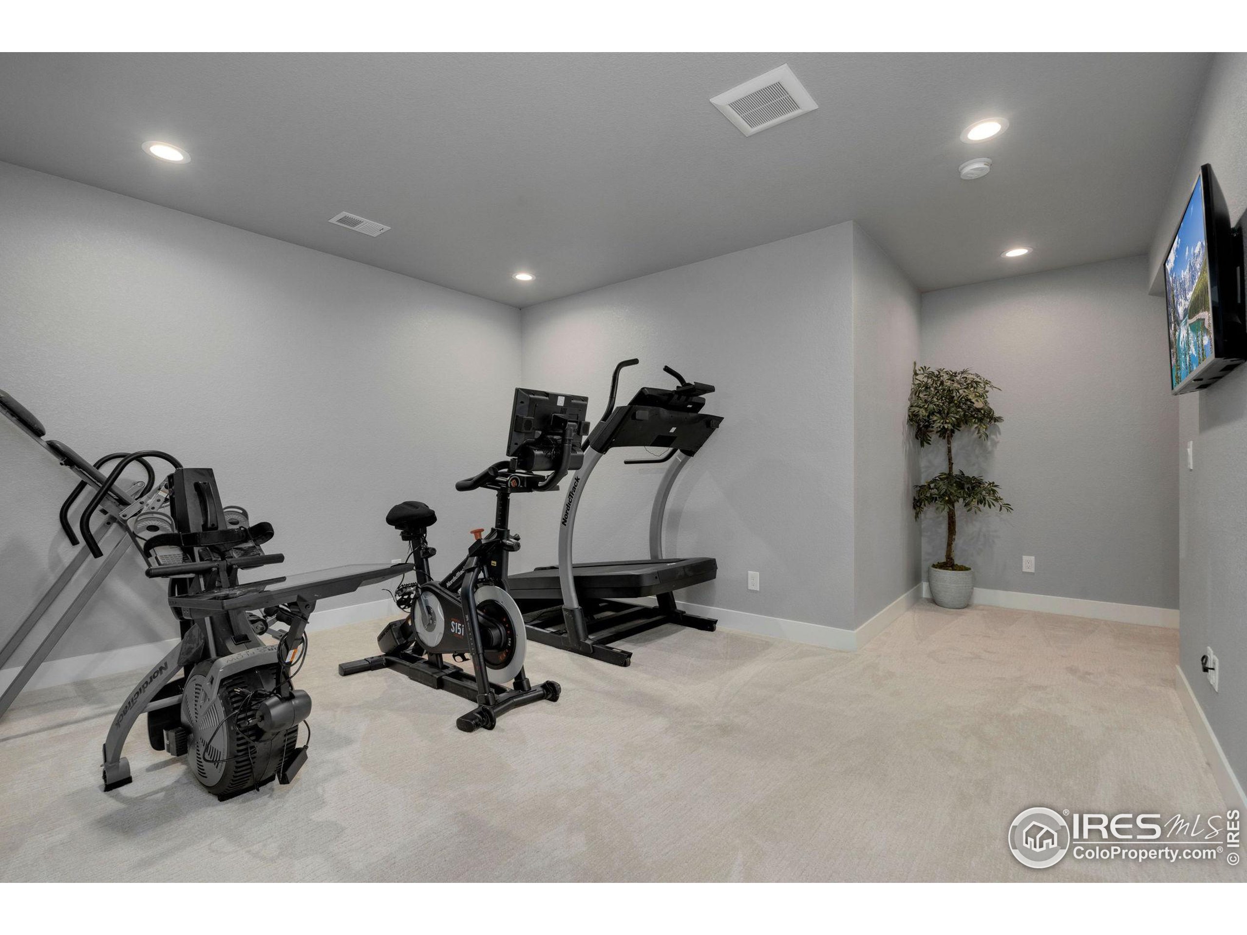 3818 Bridle Ridge Circle Severance, CO 80524 - Photo 32 of 40