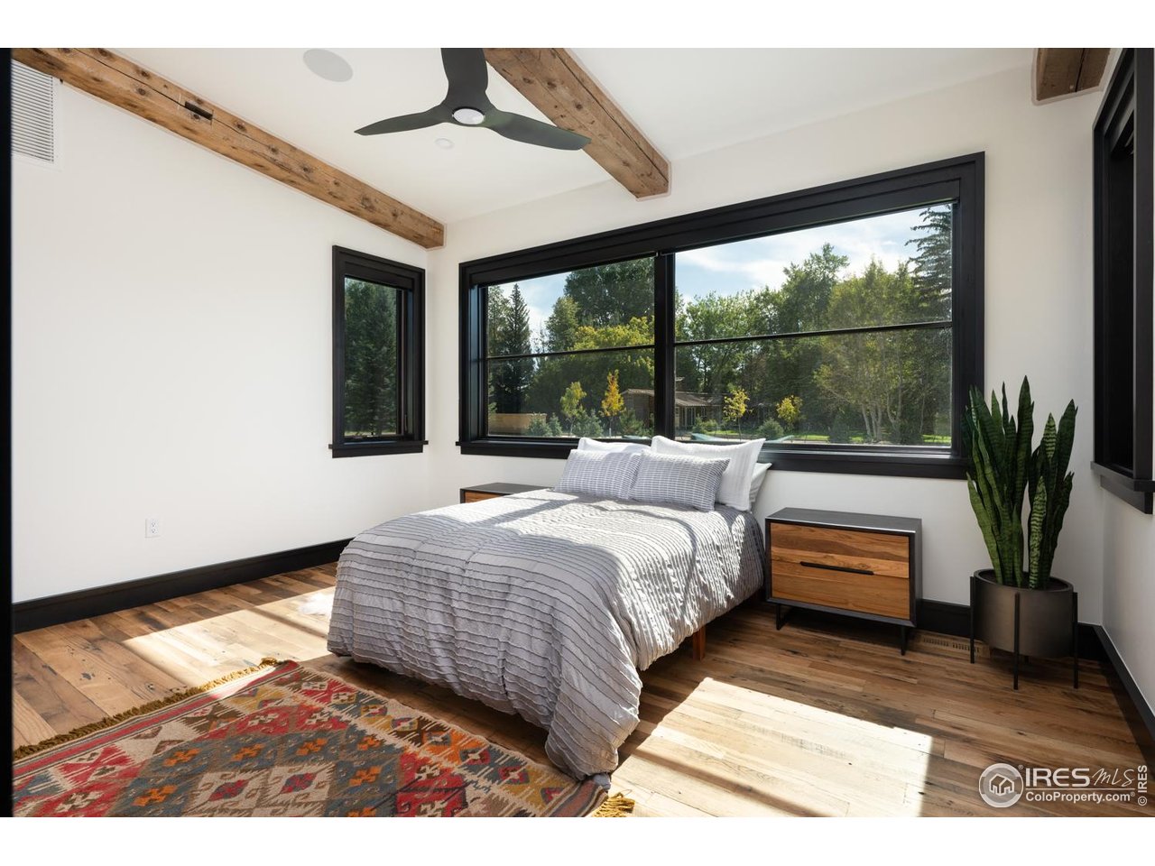 12357 North 75th Street Longmont, CO 80503 - Photo 38 of 49 a bedroom with a bed and a potted plant