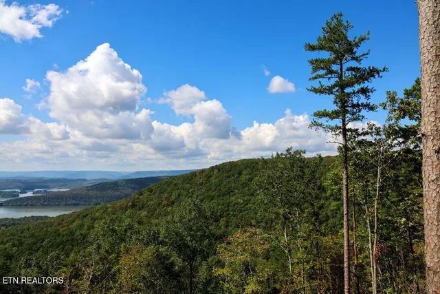 $899,000 | Countryside Court, Guild, TN 37340