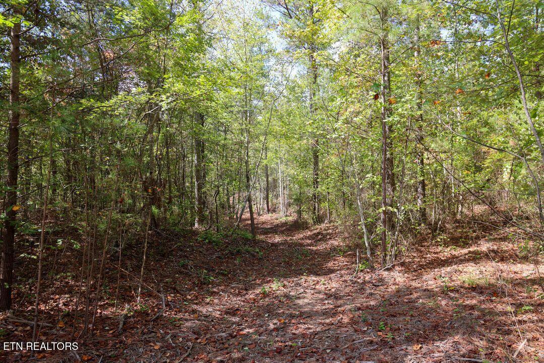 Countryside Court Guild, TN 37340 - Photo 5 of 6 5) 61025-688cb98b401e4