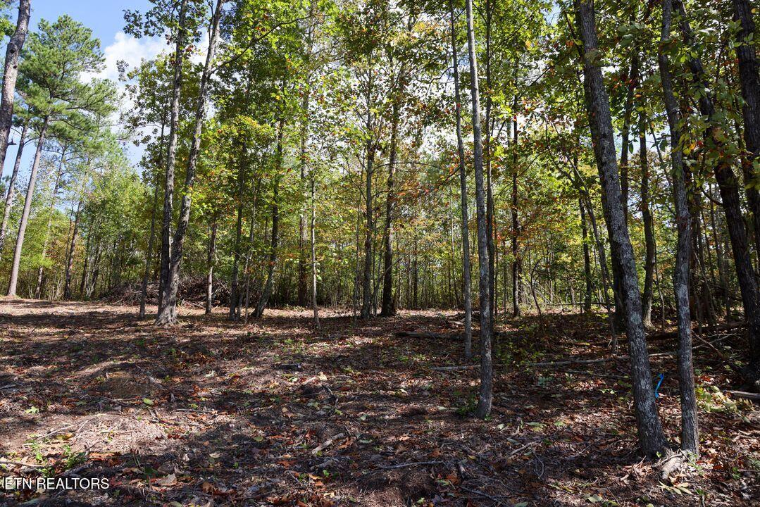 Countryside Court Guild, TN 37340 - Photo 5 of 6 5) 61025-688cb953d9b57