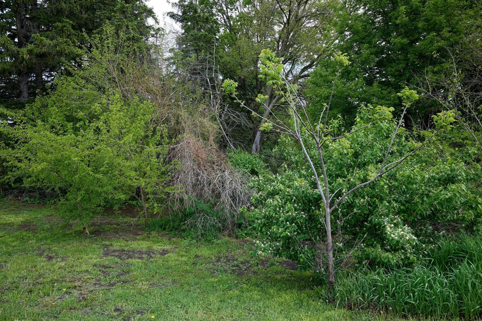 0 South Sycamore Street Cedar Point, IL 61316 - Photo 6 of 9