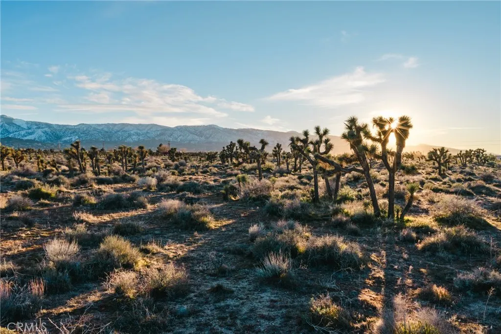 1 Rancho Road Phelan, CA 92371 - Photo 13 of 31 a view of a city