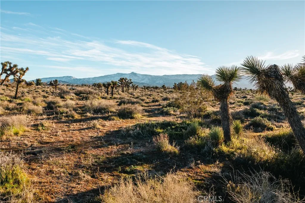 1 Rancho Road Phelan, CA 92371 - Photo 18 of 31 a view of a city