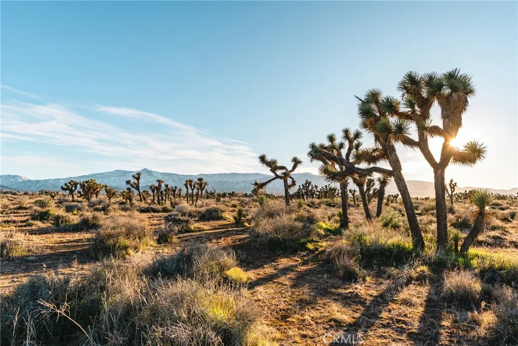 1 Rancho Road Phelan, CA 92371 - Photo 25 of 31 a view of a city