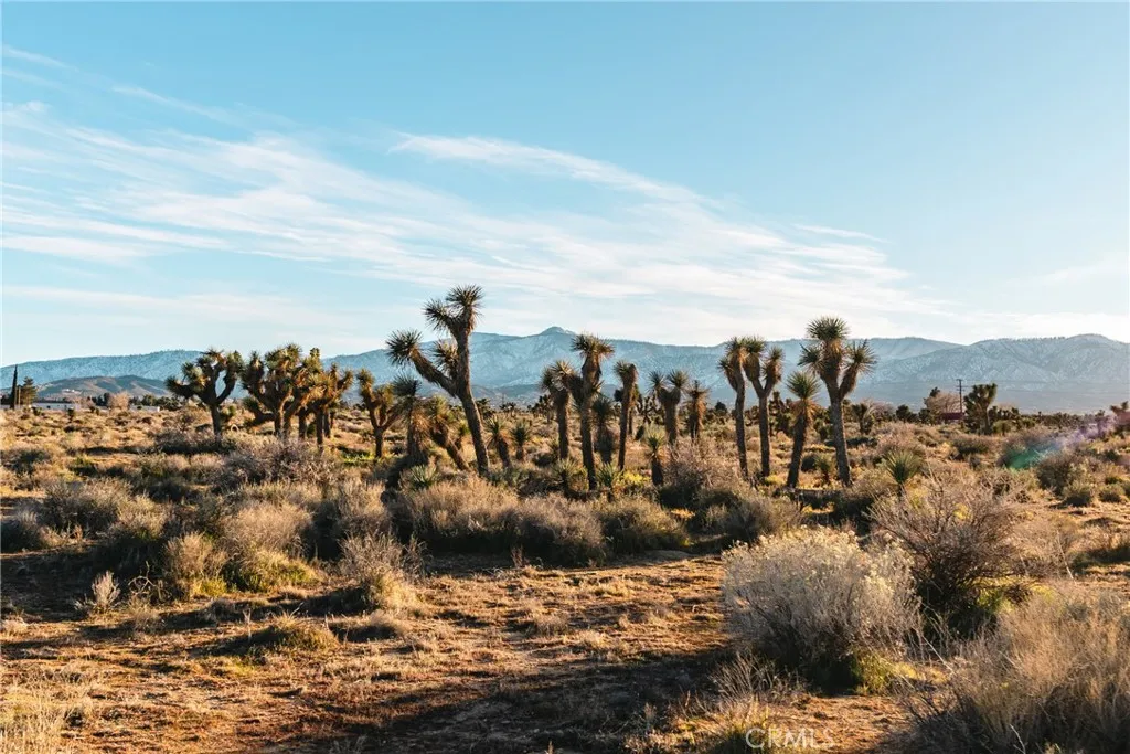 1 Rancho Road Phelan, CA 92371 - Photo 26 of 31 a view of a city