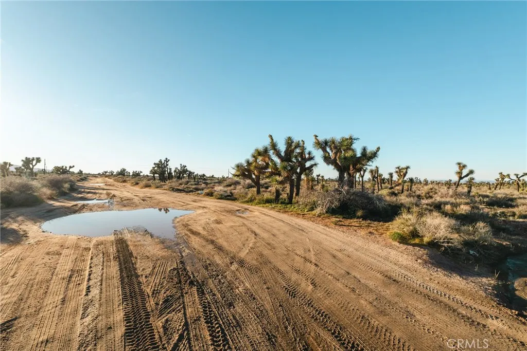 1 Rancho Road Phelan, CA 92371 - Photo 30 of 31 a view of outdoor space and trees