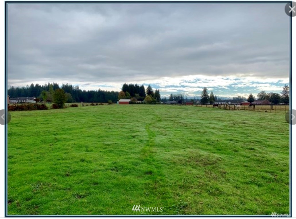 37 Oneill Road Elma, WA 98541 - Photo 5 of 25 Gallery Image 5